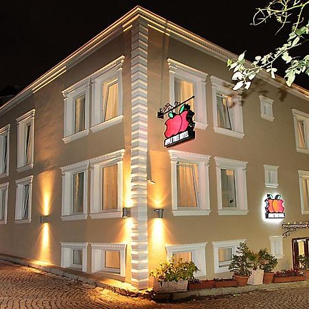 Apple Tree Hotel Istambul Extérieur photo